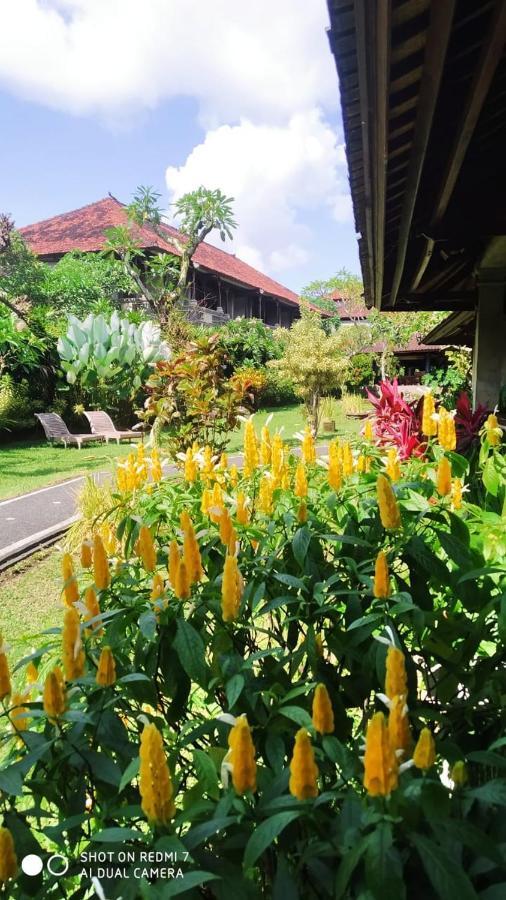 Puri Padi Hotel Ubud  Bagian luar foto